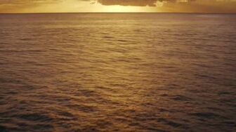 Cloudy.pk - Moana 2026 English HD