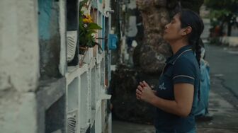 Desperada 2026 1080p Tagalog WEB-DL HEVC x265 BONE burn-in 1920x1080 rtx
