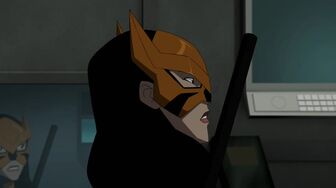 Young Justice S02E16 Complications 1080p (1)